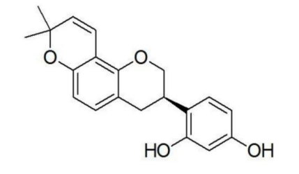 化妝品,甘草,酪氨酸,功效,提取物