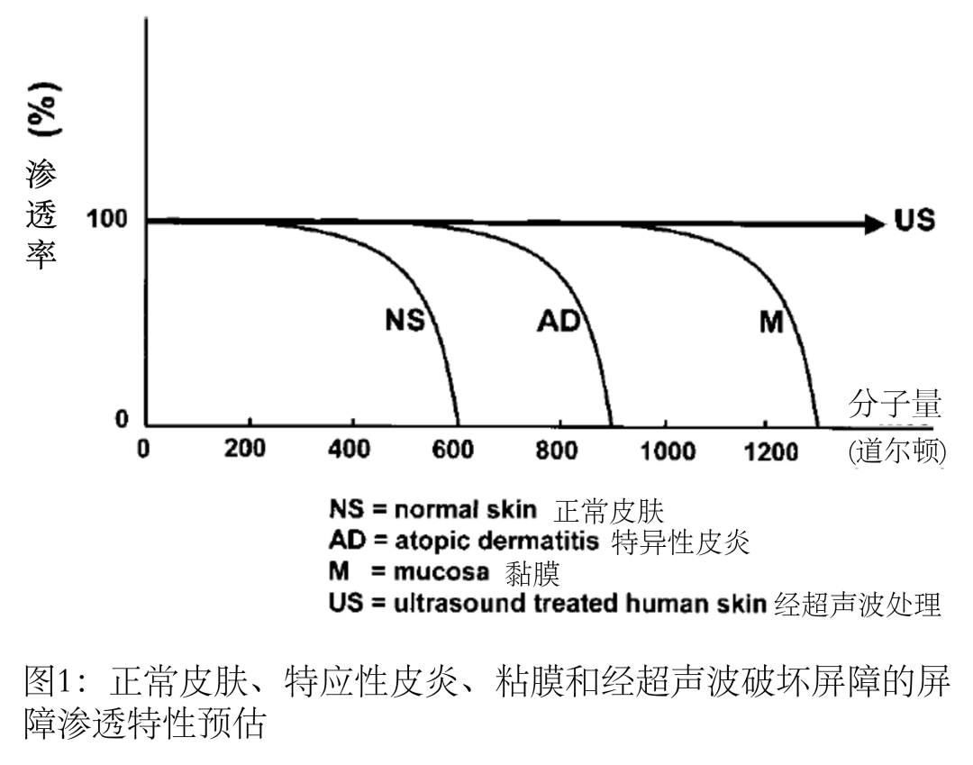 化妝品,分子量,道爾頓,皮膚,過敏原,數據