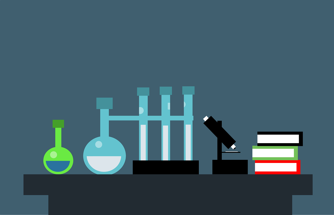 Chemical,REACH,Restriction,Phthalates,Substance,Assessment