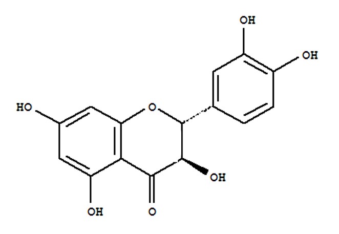 新食品原料,二氫槲皮素,鼠李糖乳桿菌MP108,擬微球藻