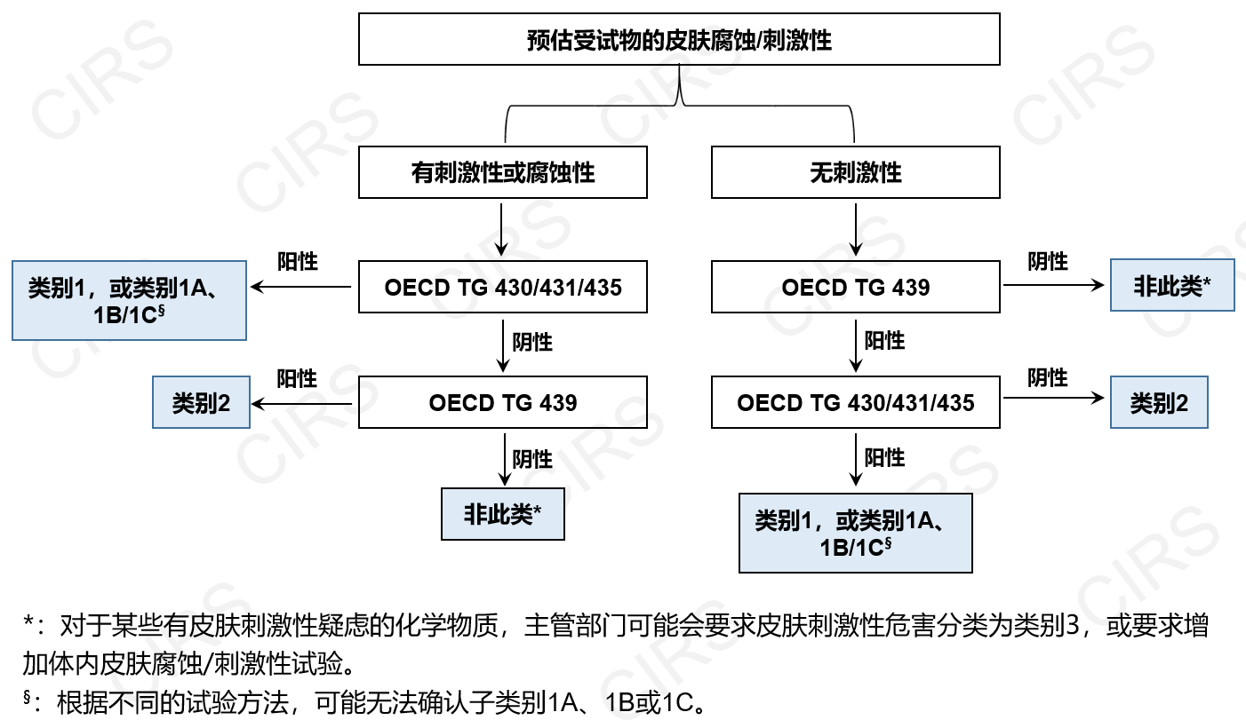 新化學物質,試驗,體外試驗,皮膚,管理登記