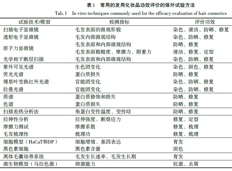 頭發,功效,化妝品,脫發,護發