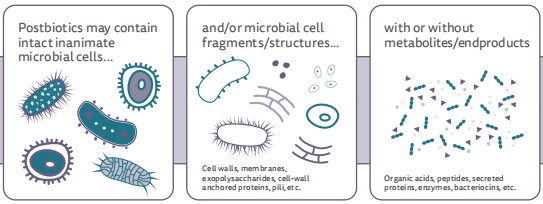 China,Food,Probiotic,Prebiotic,Synbiotic,Postbiotic