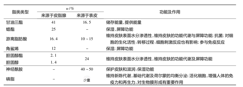 功效評價,新指標,皮膚表面,脂質分析