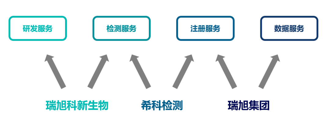 瑞旭科新生物,化妝品功效,日化品,瑞旭集團,希科檢測,注冊備案